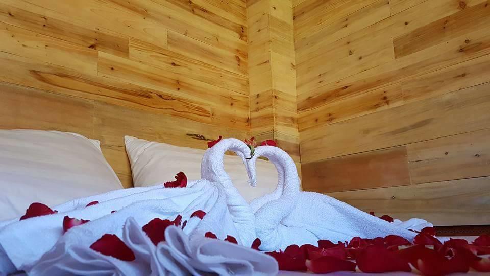 Ta Van Green Hills Homestay Sa Pa Ngoại thất bức ảnh
