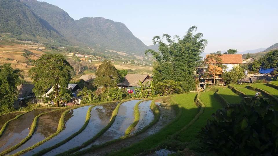 Ta Van Green Hills Homestay Sa Pa Ngoại thất bức ảnh