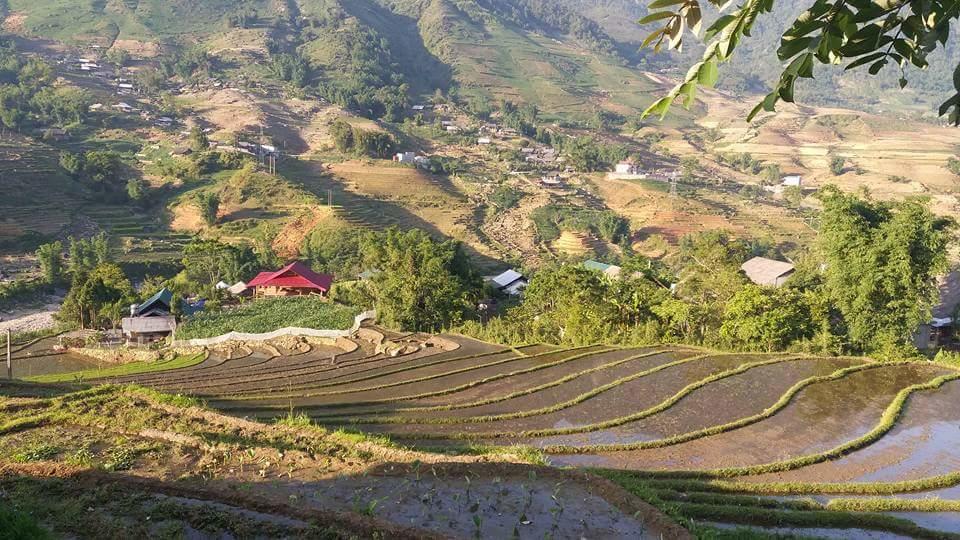 Ta Van Green Hills Homestay Sa Pa Ngoại thất bức ảnh