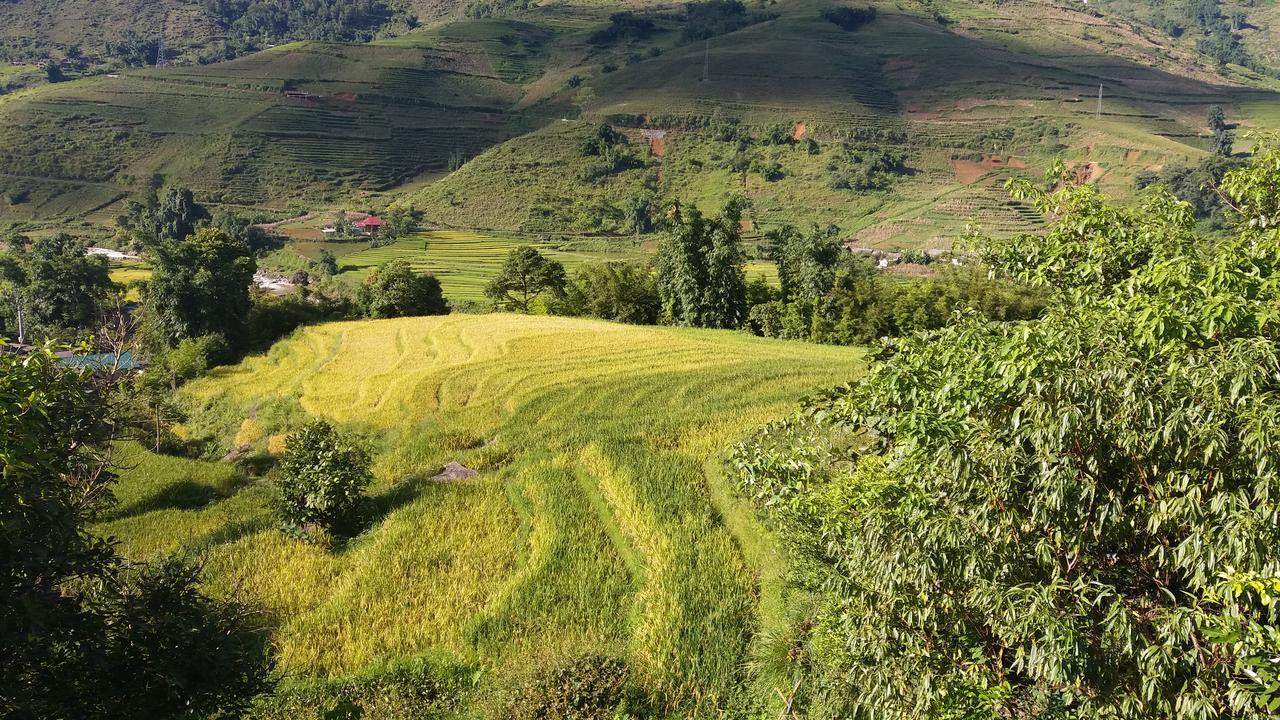 Ta Van Green Hills Homestay Sa Pa Ngoại thất bức ảnh