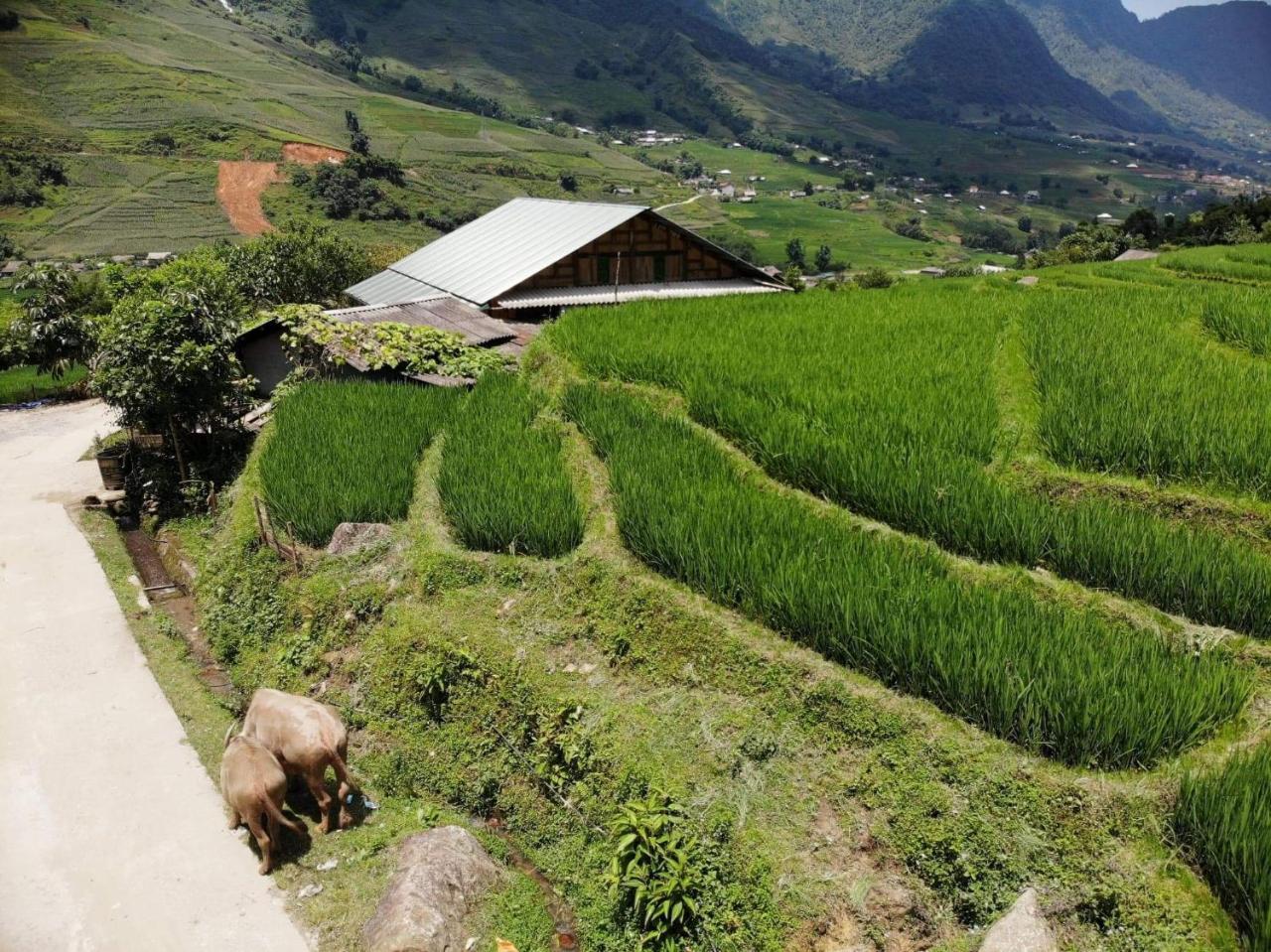 Ta Van Green Hills Homestay Sa Pa Ngoại thất bức ảnh