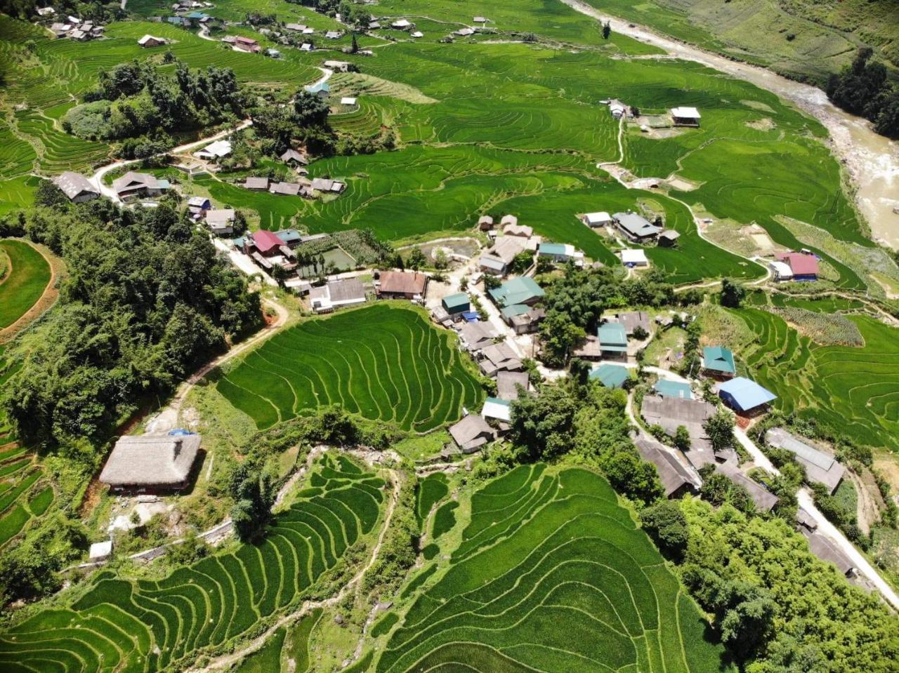 Ta Van Green Hills Homestay Sa Pa Ngoại thất bức ảnh