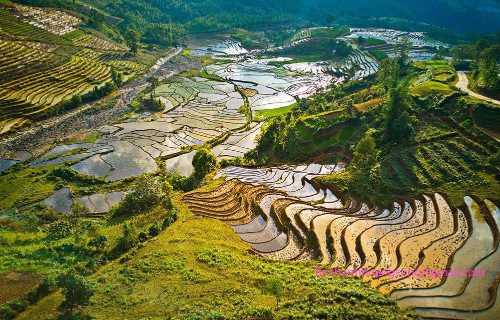 Ta Van Green Hills Homestay Sa Pa Ngoại thất bức ảnh