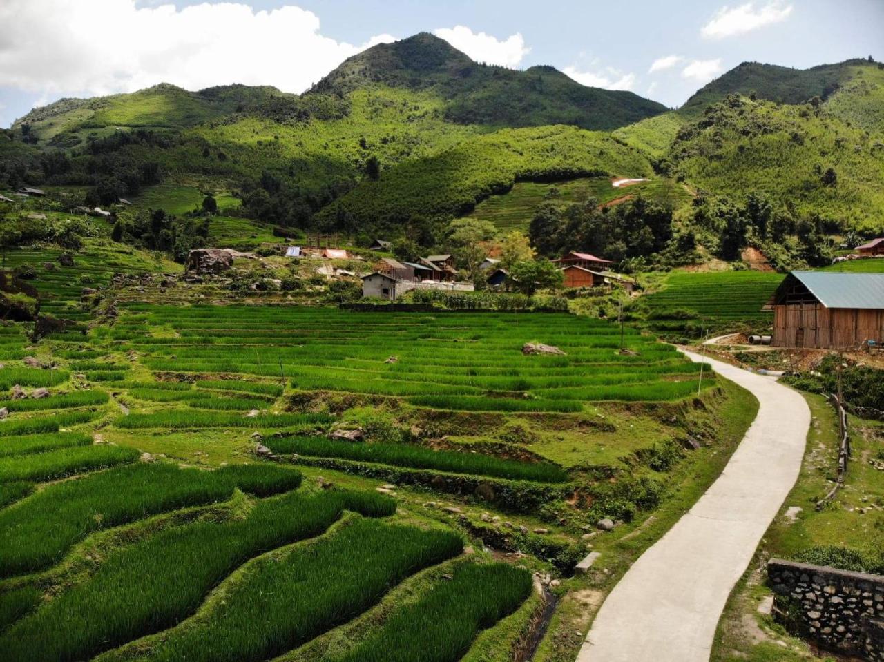 Ta Van Green Hills Homestay Sa Pa Ngoại thất bức ảnh